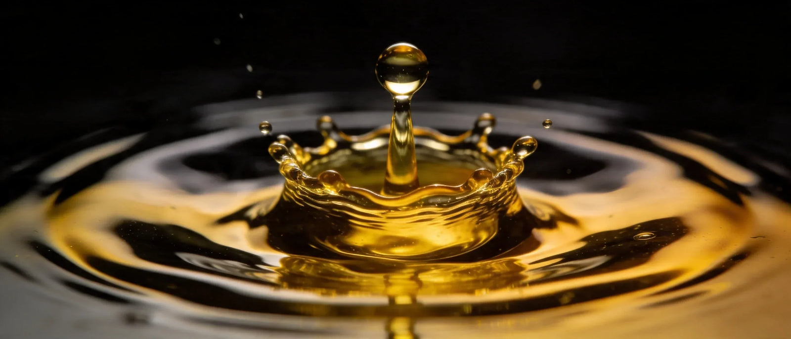 Nutritional Value of Extra Virgin Olive Oil: A Full Breakdown