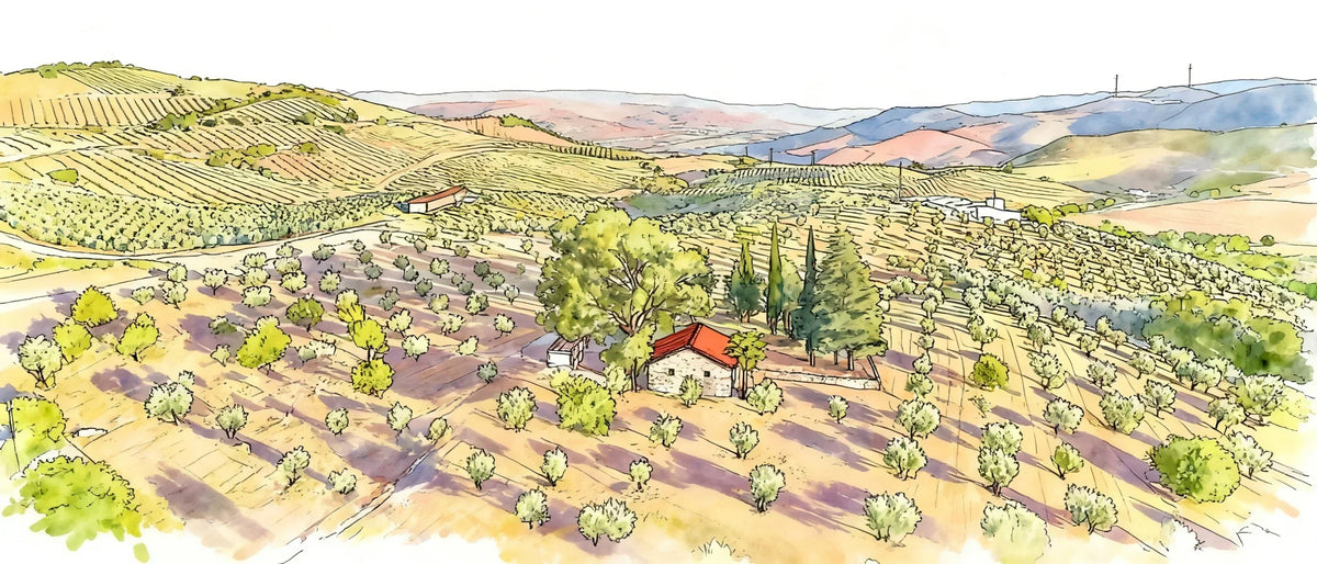 Lemon Extra Virgin Olive Oil: How It's Made, How to Use It, and What to Buy