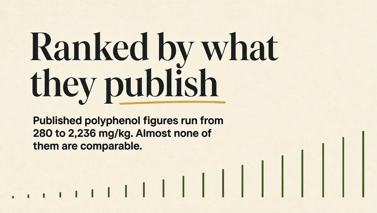 The Best High-Polyphenol Olive Oil Brands, Ranked by Lab Data