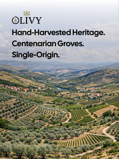 Extra Virgin Olive Oil | Mediterranean Edition | Gift Box