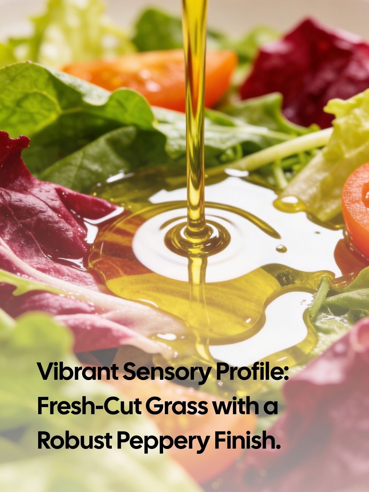 Extra Virgin Olive Oil | Mediterranean Edition | Gift Box