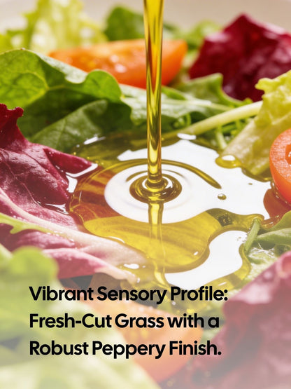 Extra Virgin Olive Oil | Mediterranean Edition | Gift Box