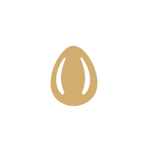 The Olivy Team